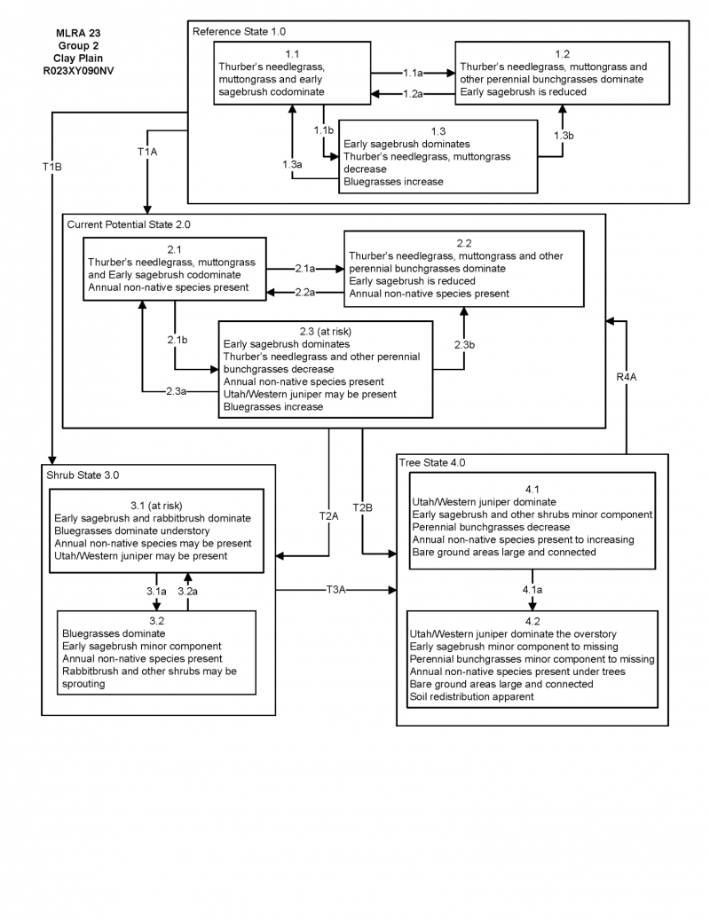 Model diagram