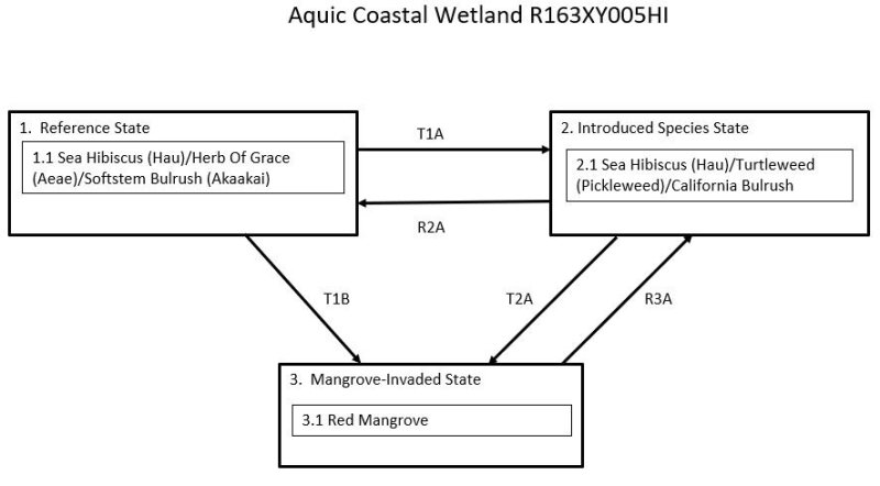 Model diagram