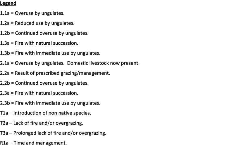 Model diagram
