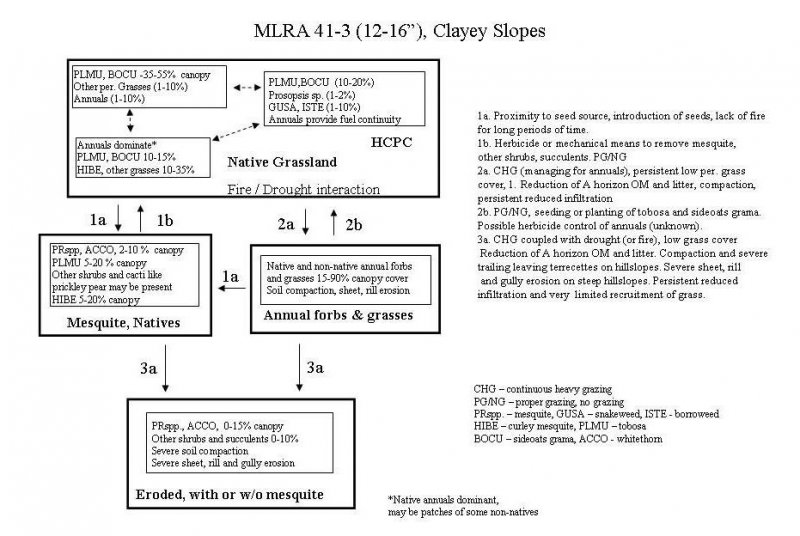 Model diagram