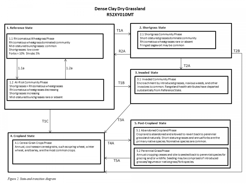 Model diagram
