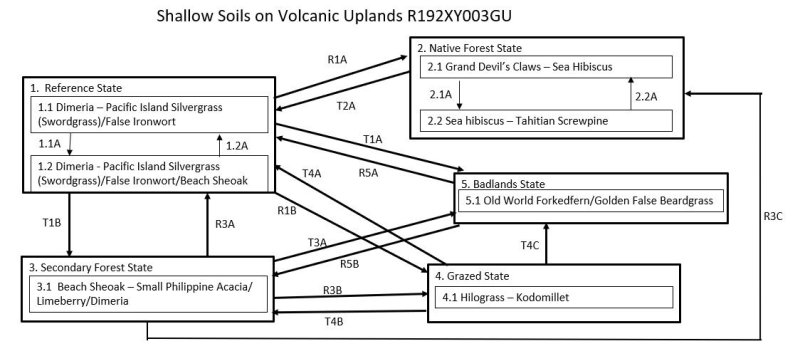 Model diagram