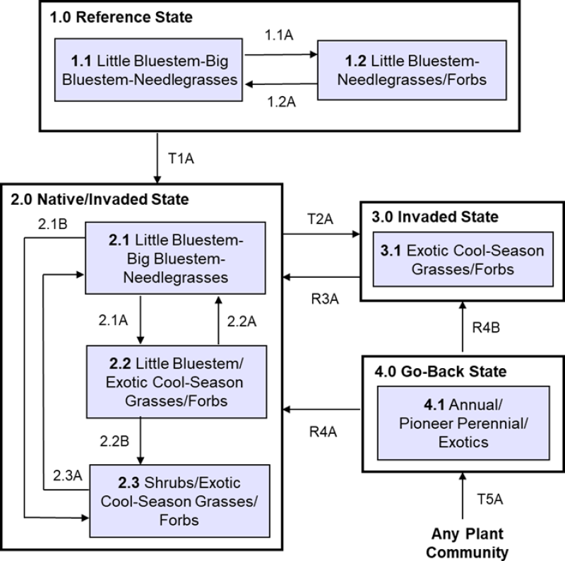 Model diagram
