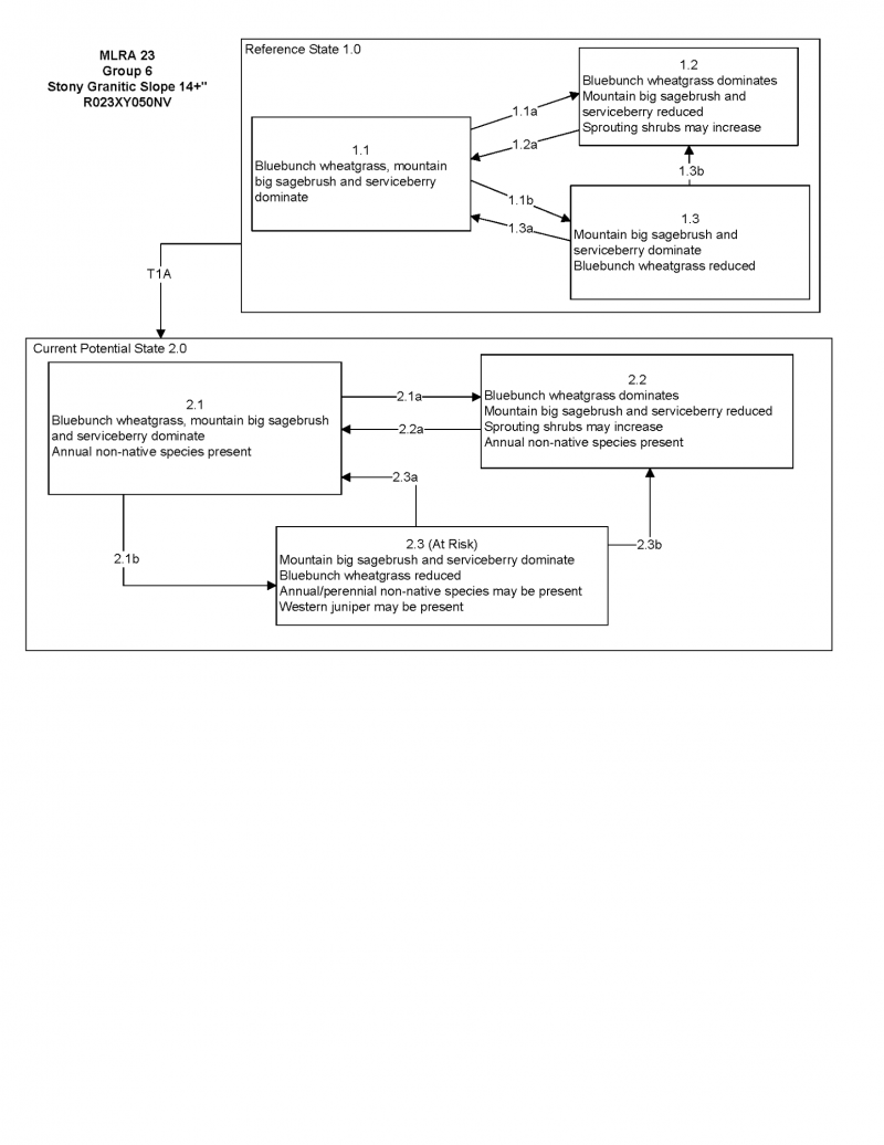 Model diagram
