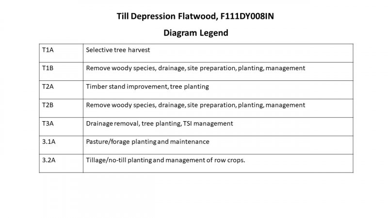 Model diagram