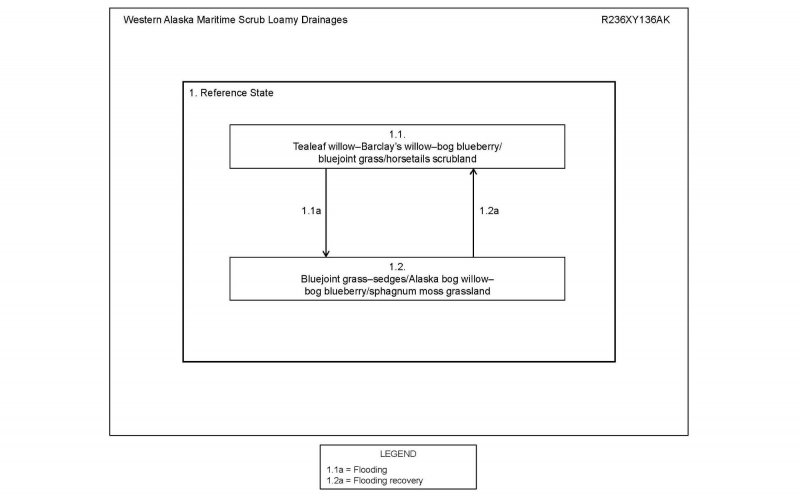 Model diagram