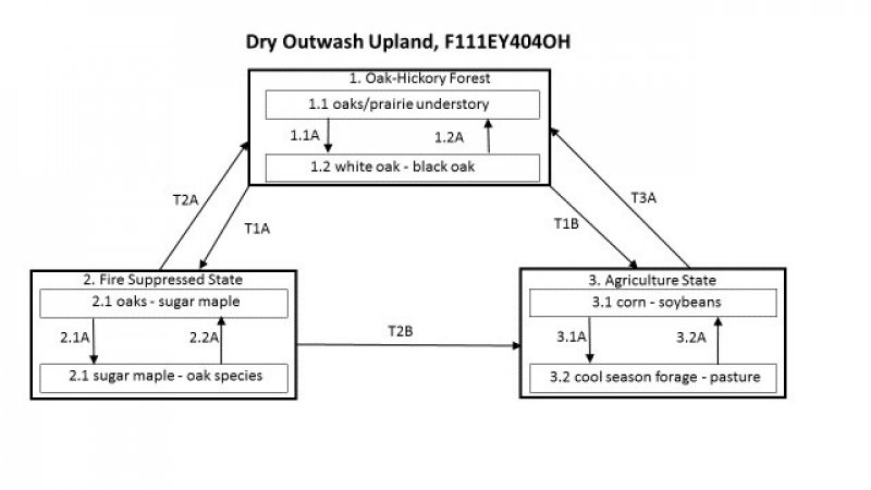 Model diagram