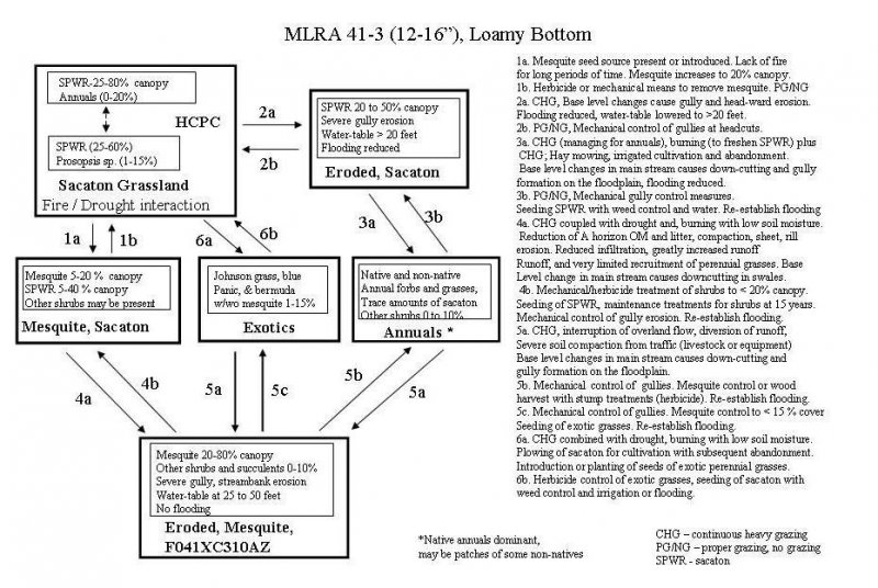 Model diagram