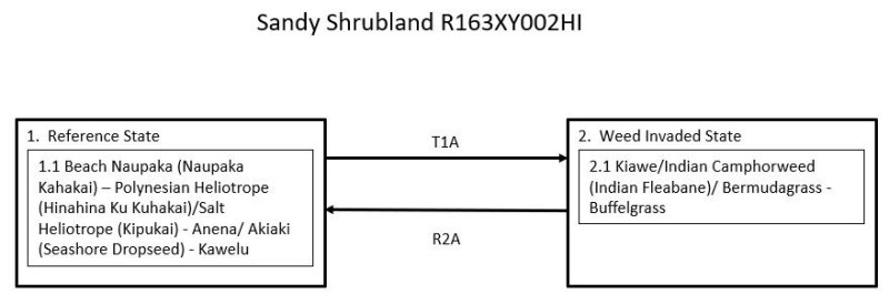 Model diagram