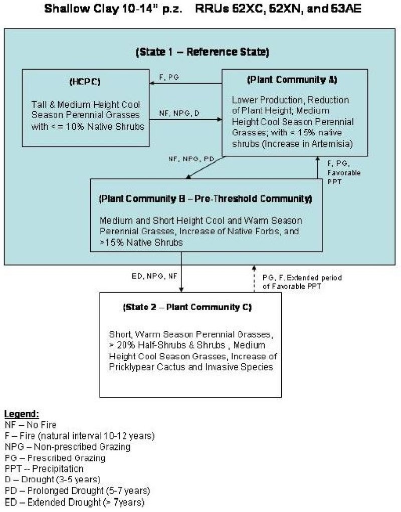 Model diagram