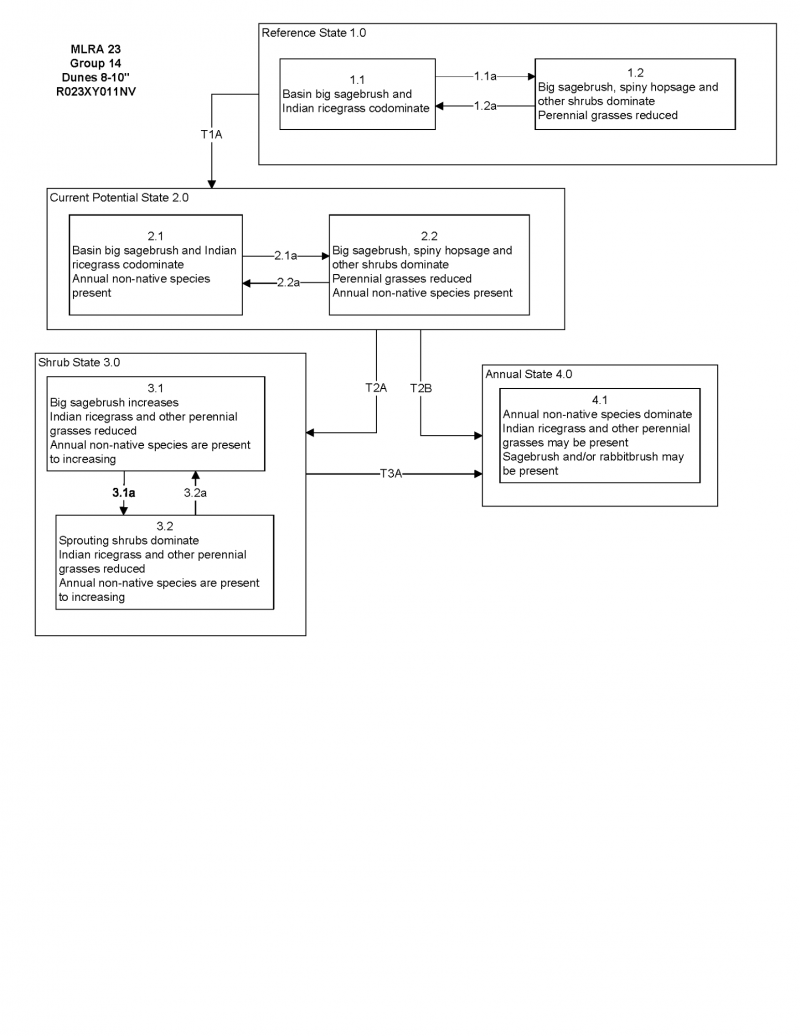 Model diagram