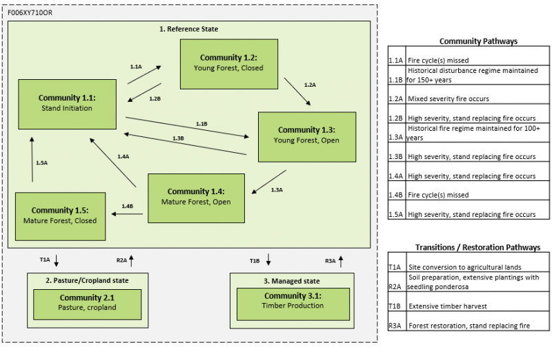 Model diagram