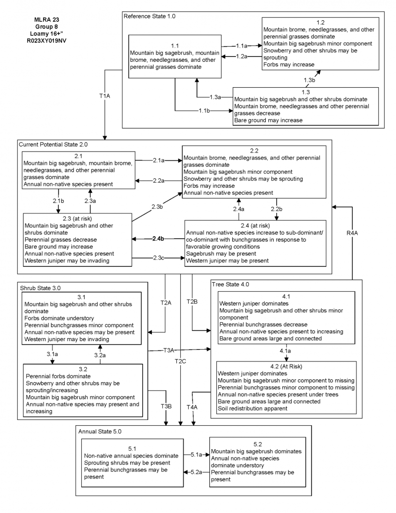 Model diagram