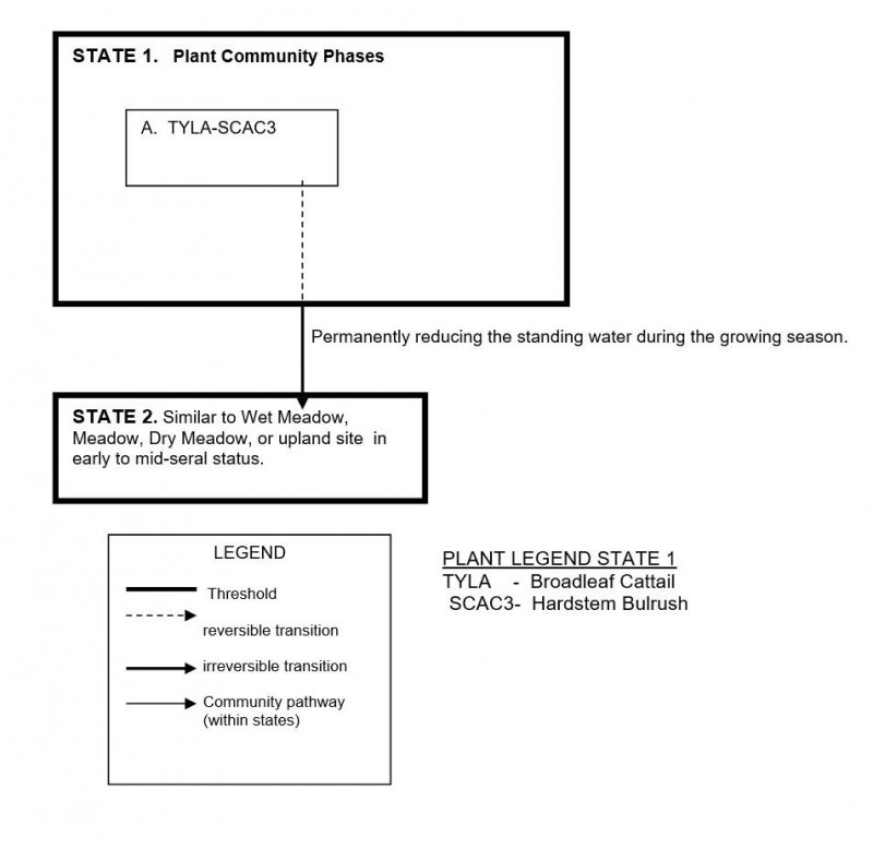 Model diagram