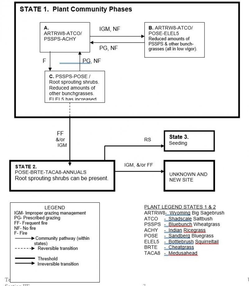 Model diagram