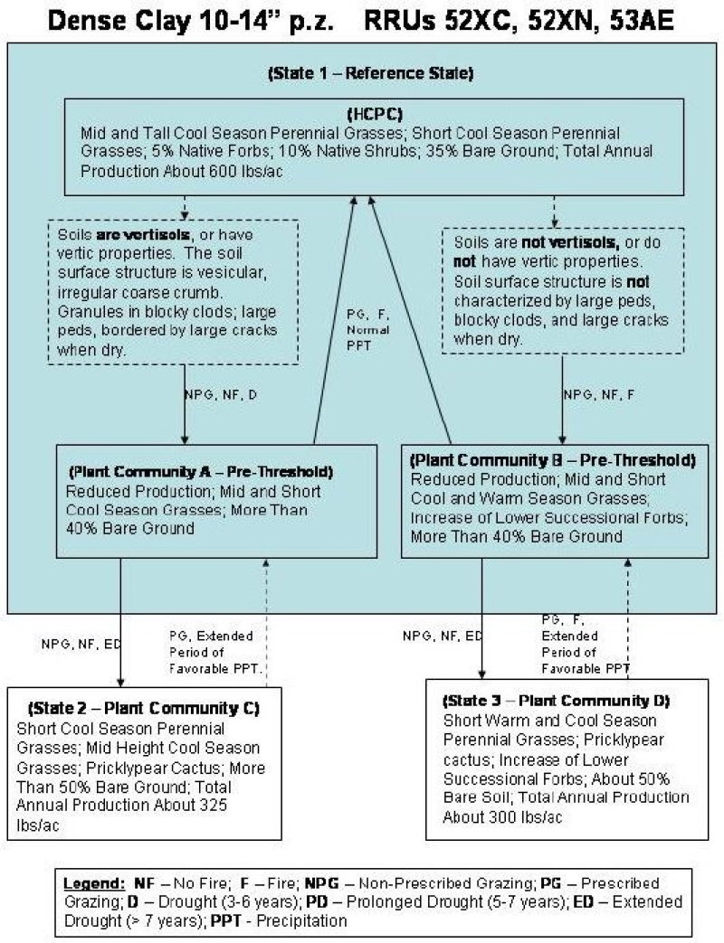 Model diagram