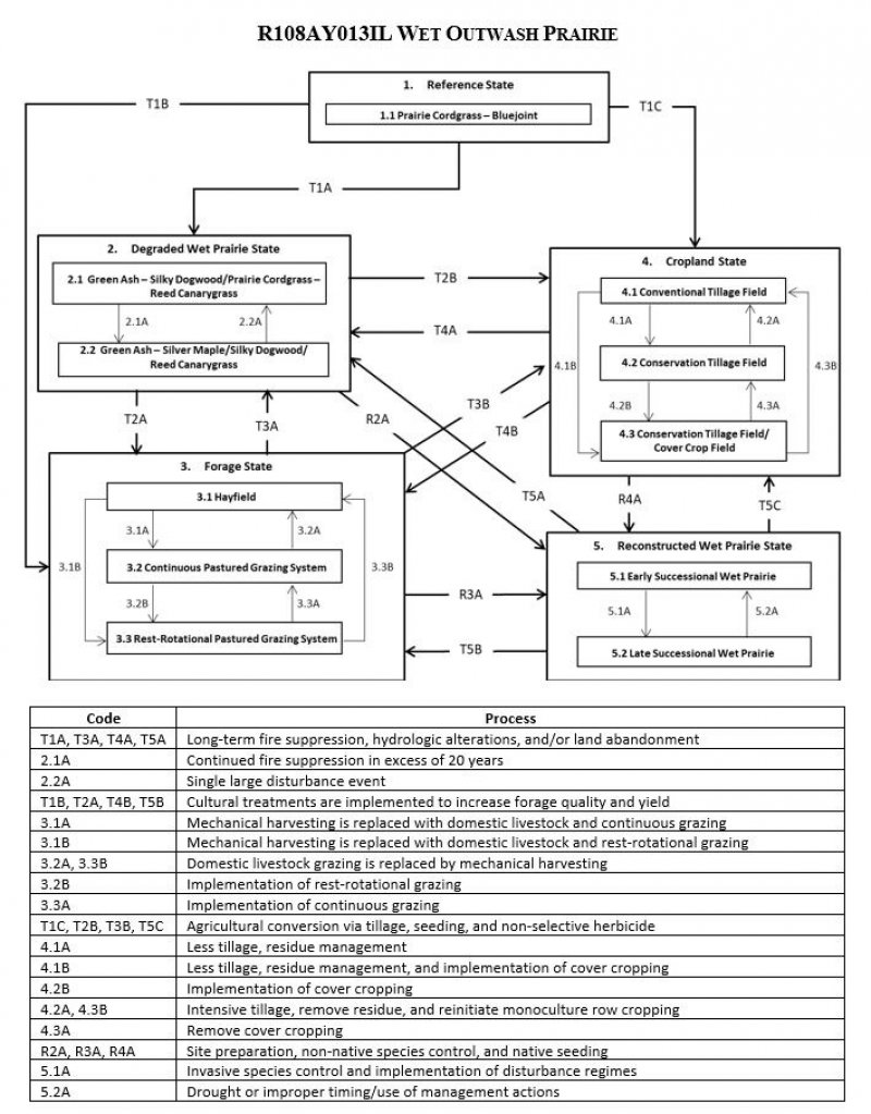 Model diagram