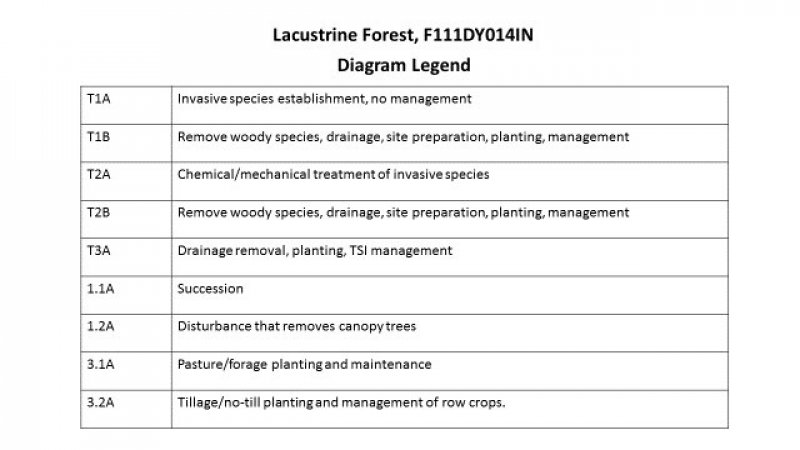 Model diagram