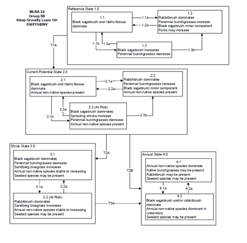 Model diagram