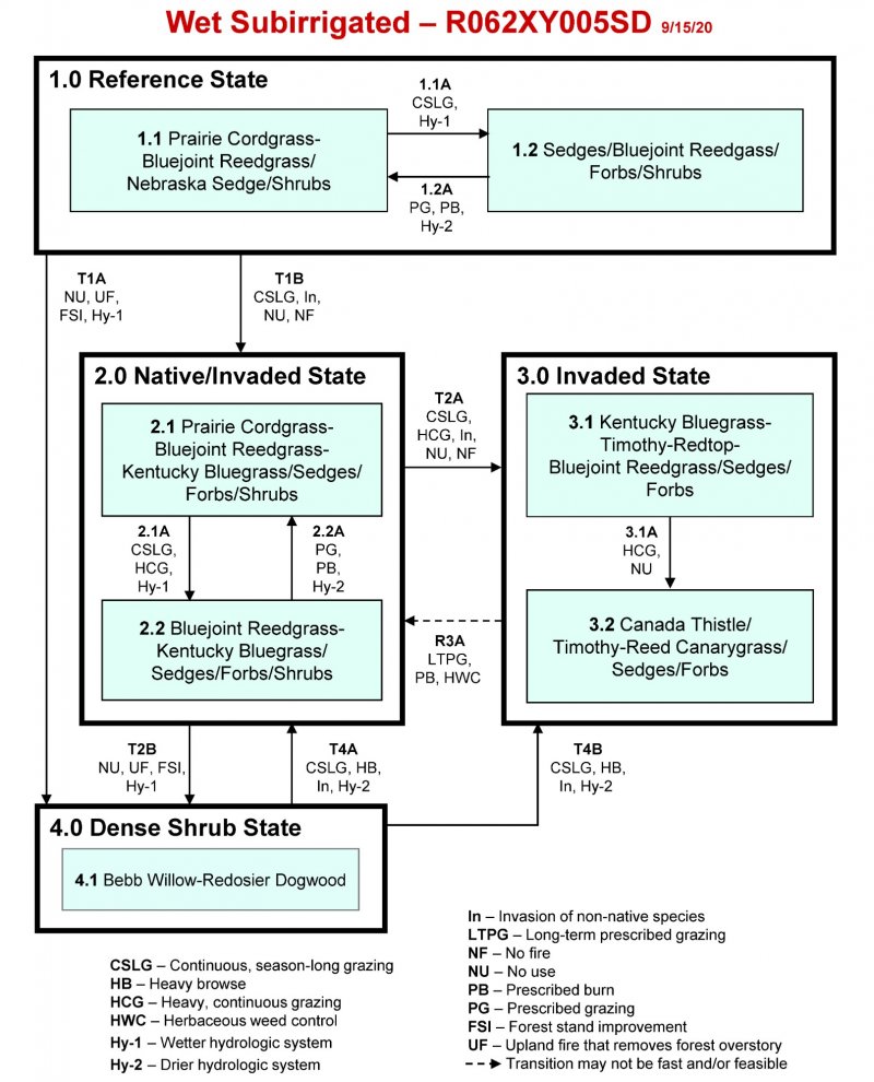 Model diagram