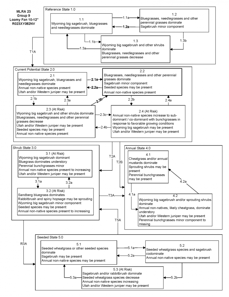 Model diagram