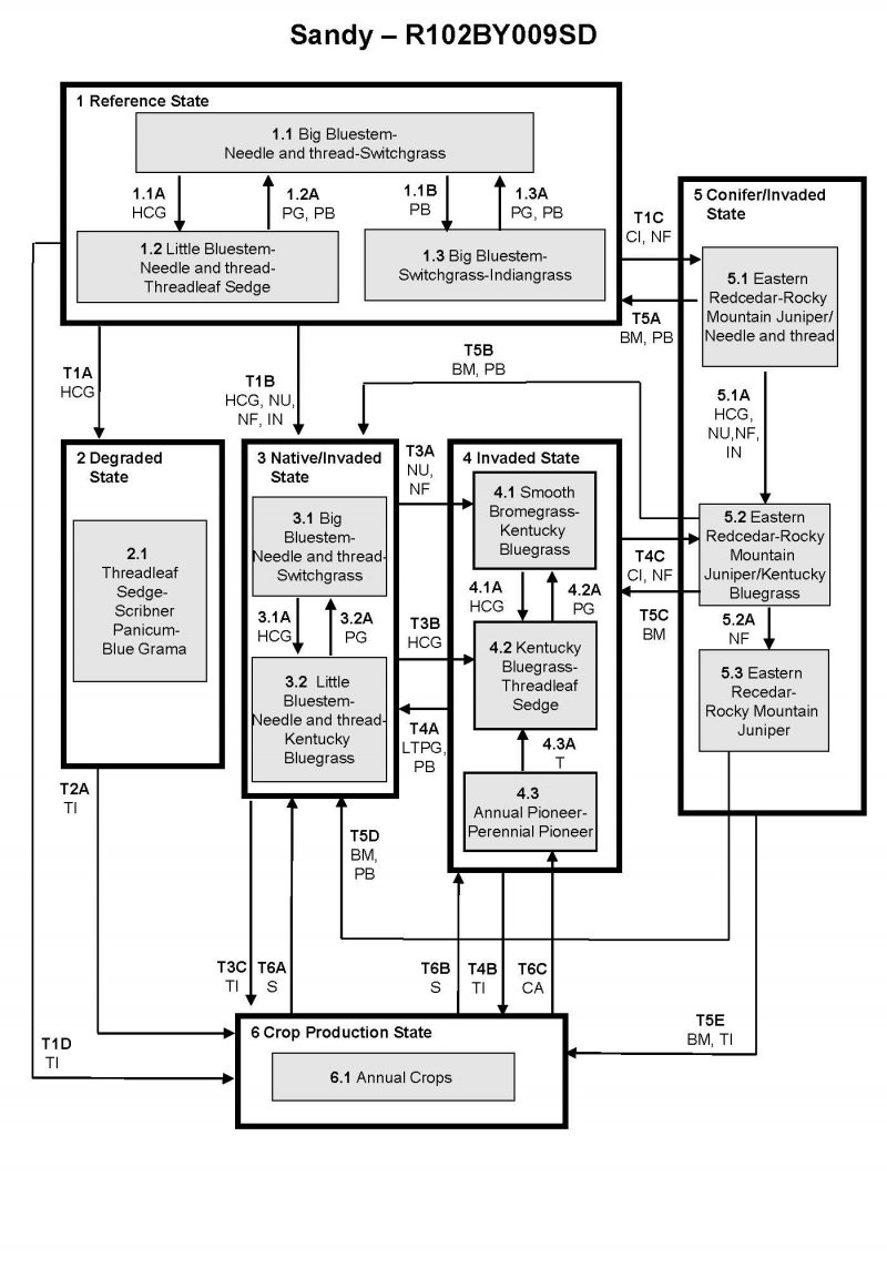 Model diagram