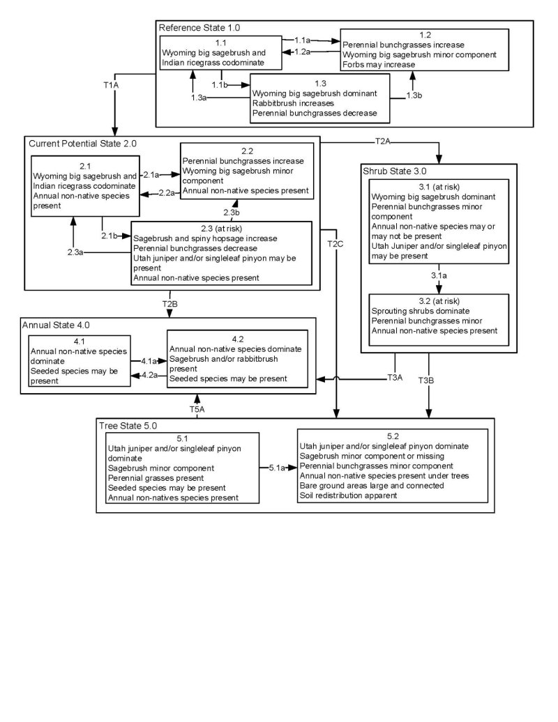 Model diagram