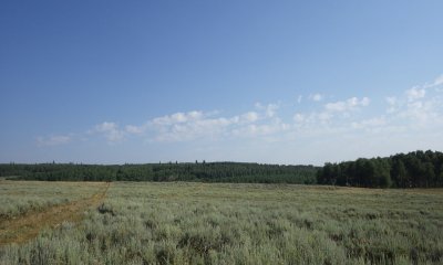Box image