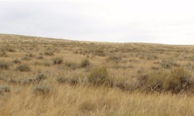 Box image