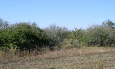 Box image