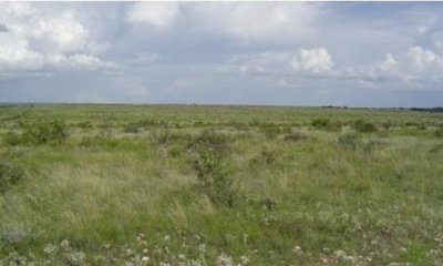 Box image