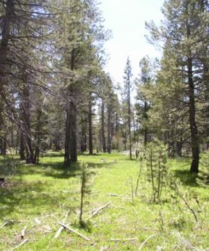 Box image