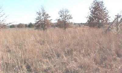 Box image