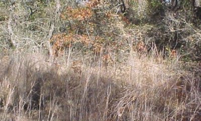 Box image