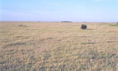 Box image