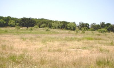 Box image