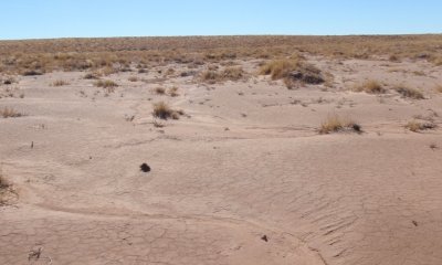 Box image