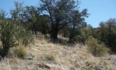 Box image