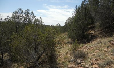 Box image