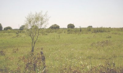 Box image