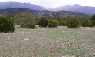 Box image