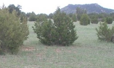 Box image