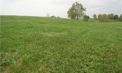 Box image