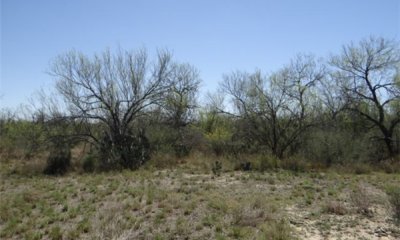 Box image