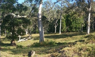 Naturalized Grassland State