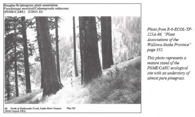 Box image