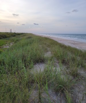 Reference Dune System