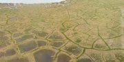 Arctic Coastal Plain