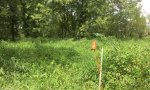 10520JG028 (2)