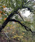 IMG_3509_resize